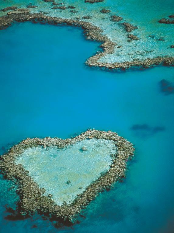 At Waterfront Whitsunday Retreat - Adults Only Aparthotel Airlie Beach Buitenkant foto
